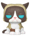 Pop! Icons Grumpy Cat