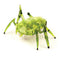 HEXBUG Scarab