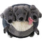 Mini Cerberus 7'' - Mini Squishable