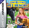 Paws & Claws: Pet Resort - Gameboy Advance Pre-Played