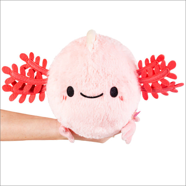 Baby Axolot - Mini Squishable