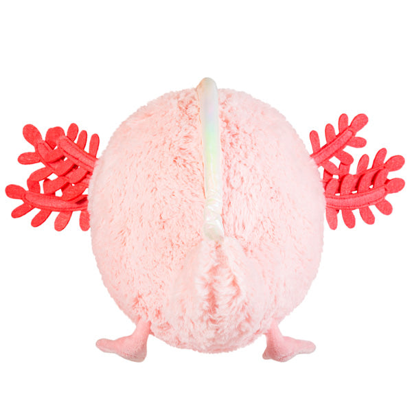 Baby Axolot - Mini Squishable