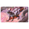 Play Mat: MtG: Ikoria V3